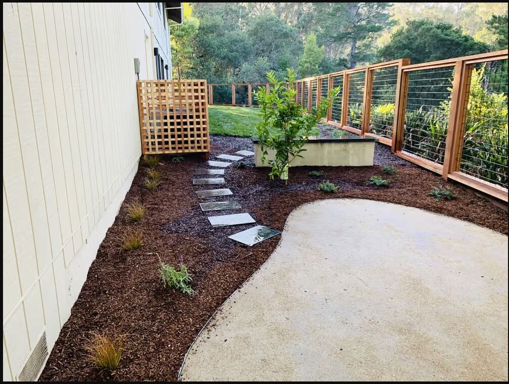 Landscape planting with stepping-stone pathway