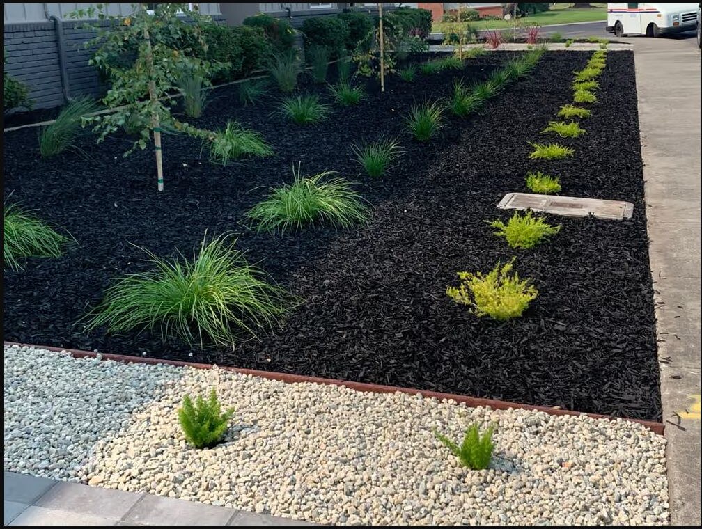 Modern drought-tolerant planting with mulch and gravel